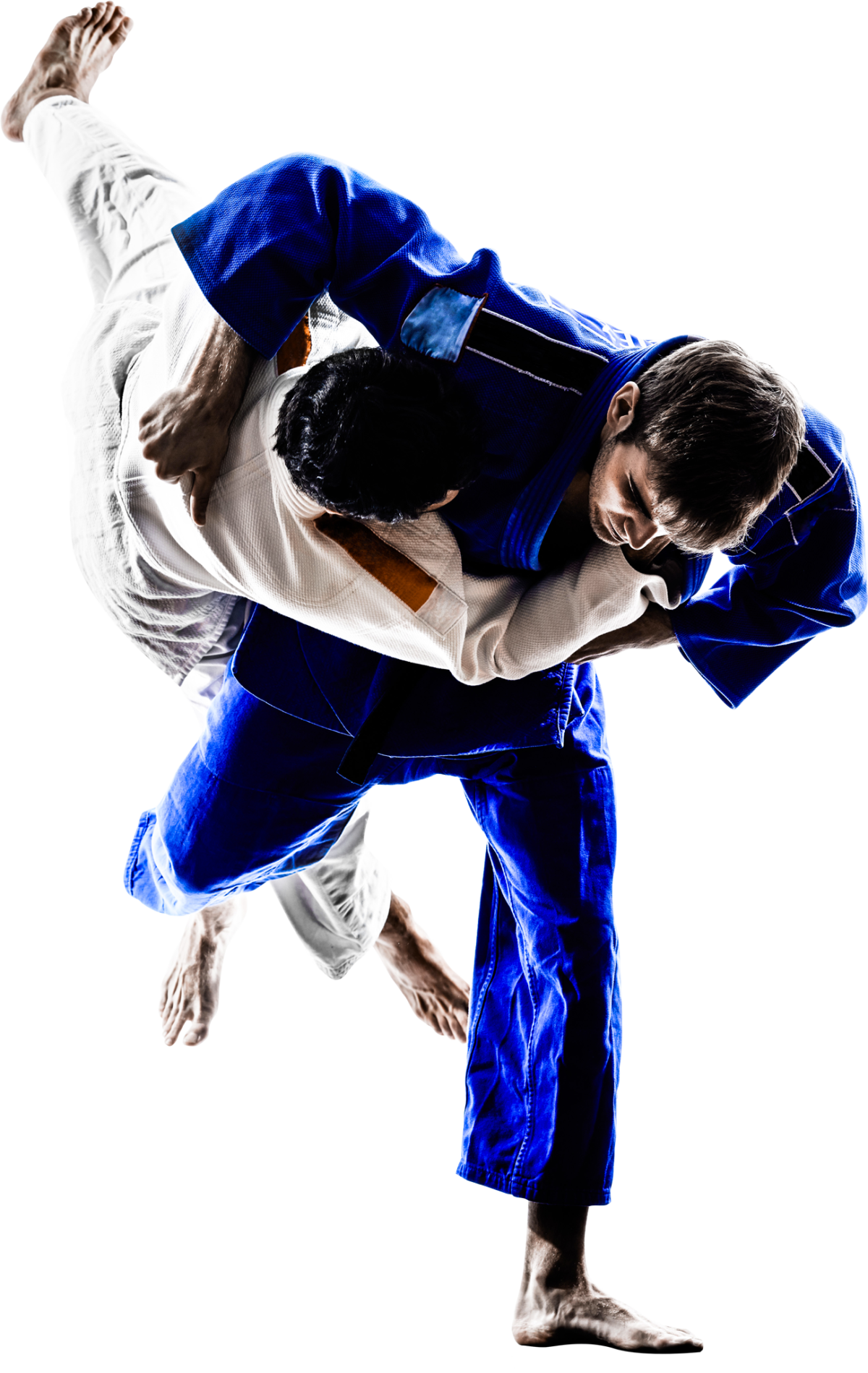 prise de judo