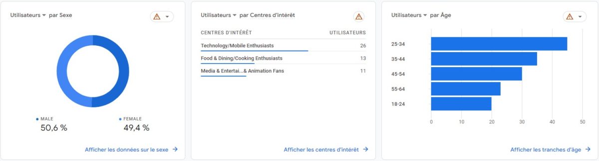 capture d'écran d'un rapport démographique GA4